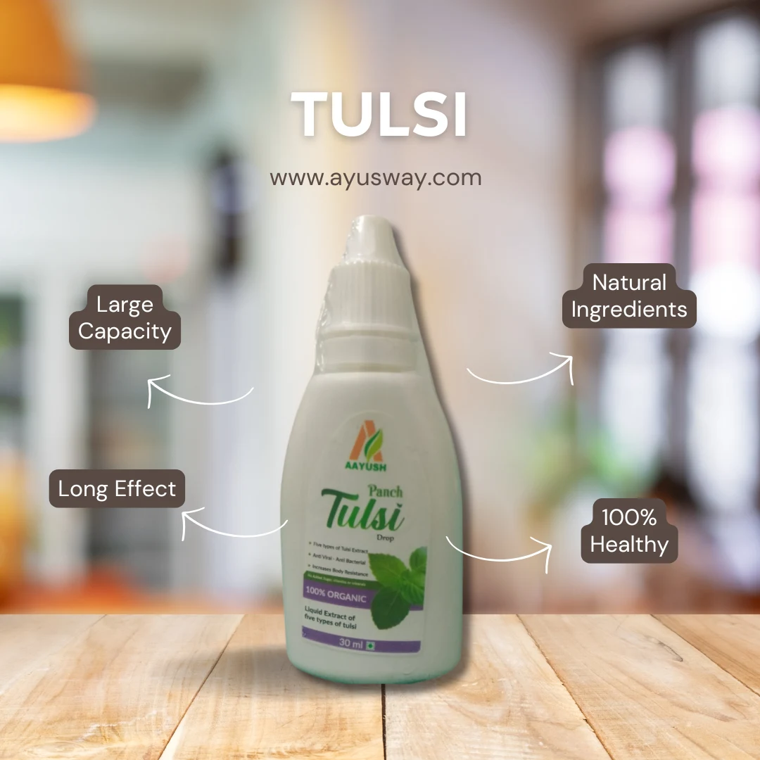 Tulsi image 2